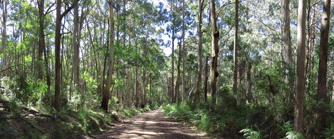 Blue Range Camping And Picnic Area - Accommodation Port Hedland 2