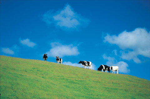 Bridgetown - Accommodation Port Hedland 0