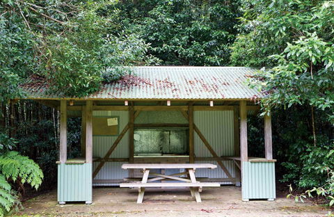 Coachwood Picnic Area - Accommodation Port Hedland 0
