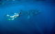 Coral Coast Wildlife - thumb 0