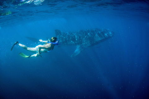 Coral Coast Wildlife - Accommodation Port Hedland 0