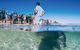 Coral Coast Wildlife - thumb 1
