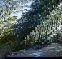 Hastings Forest Way Touring Route - Accommodation Port Hedland