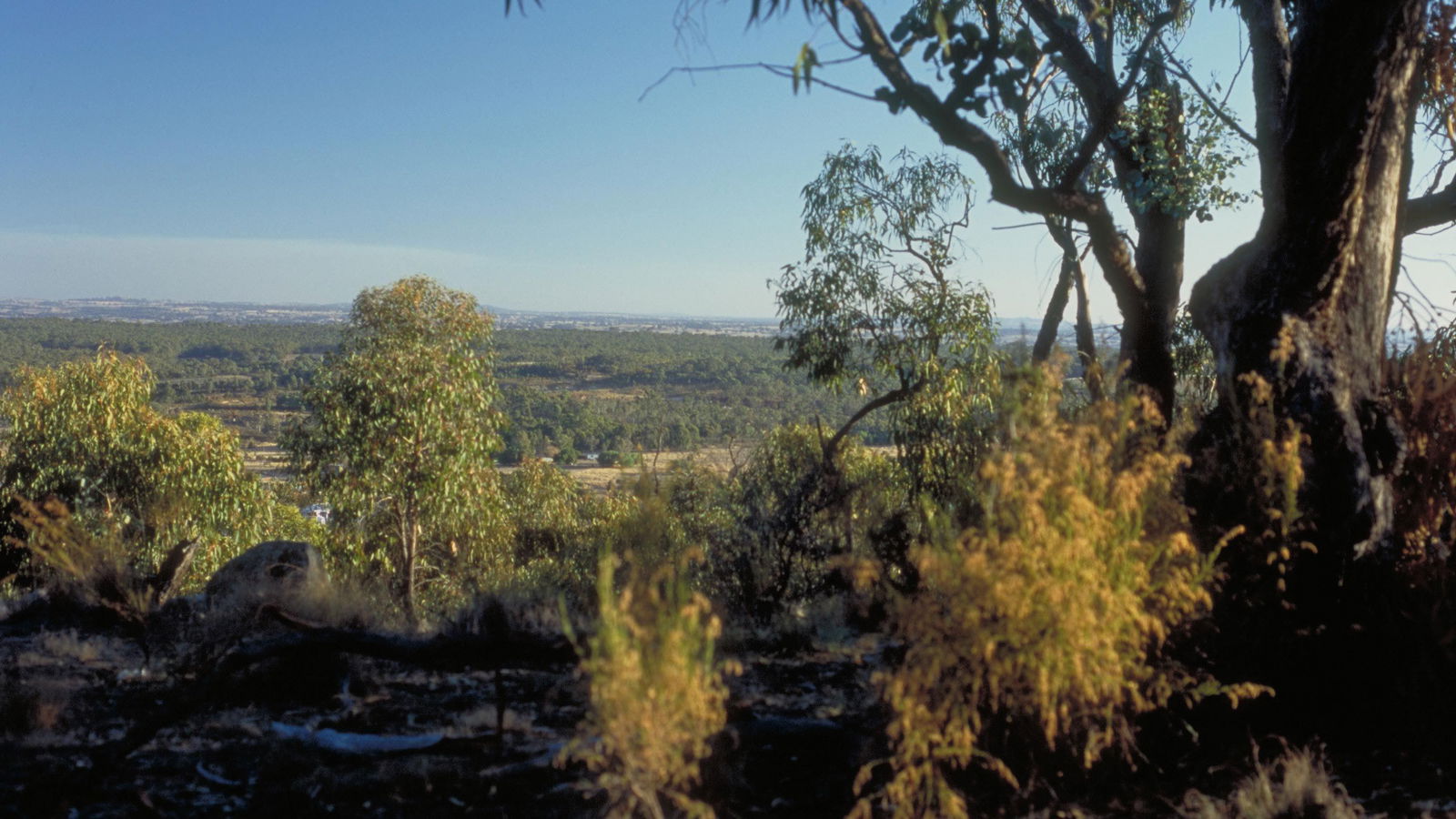 Archdale Junction VIC Accommodation Port Hedland