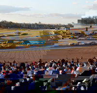 Ipswich Motorsport Precinct - Accommodation Port Hedland