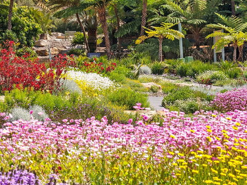 Jurassic Garden AR Experience - Accommodation Port Hedland 0