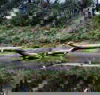Kayaking Upper Tuross River and Bumbo Lake - Accommodation Port Hedland