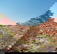 Lark Quarry Conservation Park - Accommodation Port Hedland