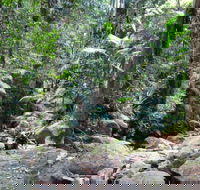 Lyrebird track - Accommodation Port Hedland