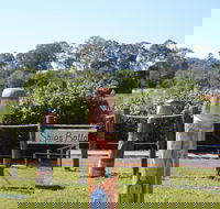 Maryboroughs Bollards - Accommodation Port Hedland