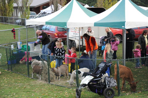 Mornington Racecourse Market - Accommodation Port Hedland 2