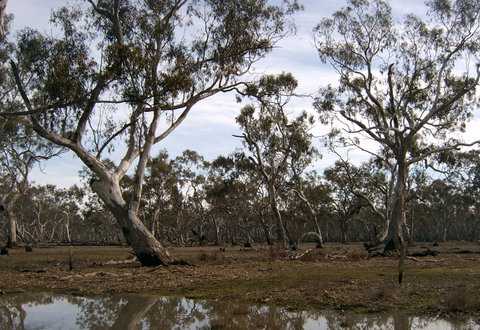 Murchison Rail Trail - Accommodation Port Hedland 1