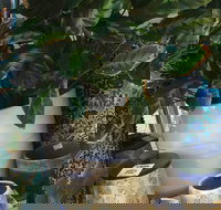 Noreen's Seaside Shop - Accommodation Port Hedland