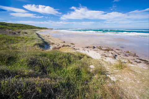 Racecourse Beach: Bawley Point - Accommodation Port Hedland 0