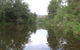 Riverside Campground And Picnic Area - thumb 0