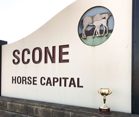 Scone - Accommodation Port Hedland 1