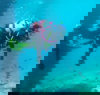 Shellharbour Scuba  and Photography Centre - Accommodation Port Hedland