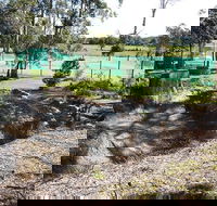 Tactical Paintball Games - Accommodation Port Hedland