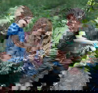 Tamworth Marsupial Park and Adventure Playground - Accommodation Port Hedland