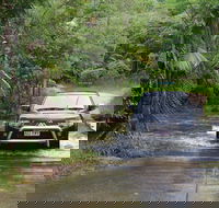 The Pioneer Valley and Eungella National Park - Accommodation Port Hedland