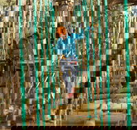 Trees Adventure Yeodene Park - Accommodation Port Hedland