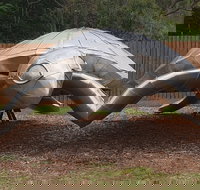 Underwater Marine Sculptures - Accommodation Port Hedland