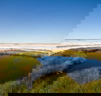 Wabma Kadarbu Mound Springs Conservation Park - Accommodation Port Hedland