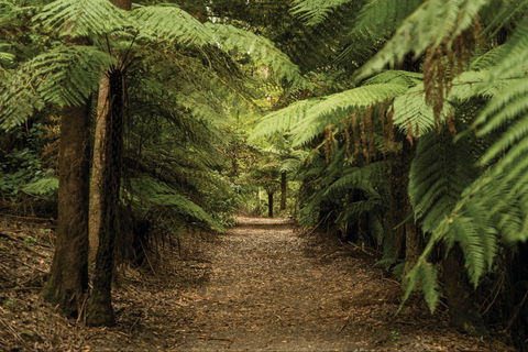 William Ricketts Sanctuary - Accommodation Port Hedland 2