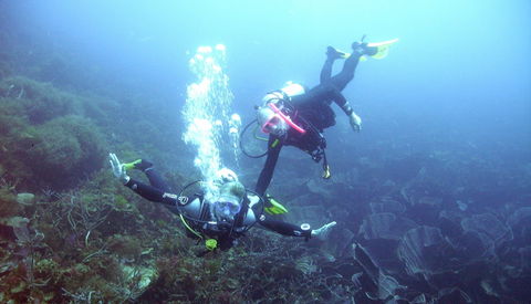 Abrolhos Islands - Accommodation Port Hedland 2