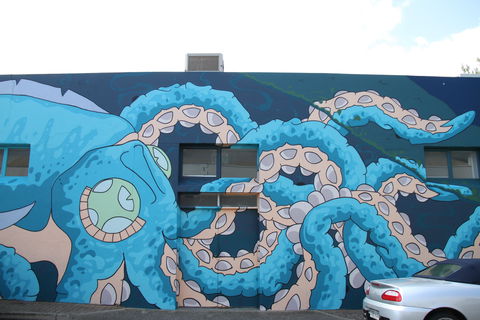 Adelaide Fringe Street Art Explosion - Accommodation Port Hedland 2