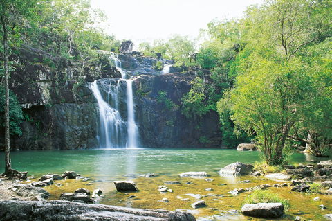 Airlie Beach To Cedar Creek Falls - Accommodation Port Hedland 0