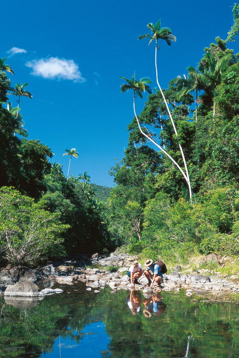 Airlie Beach To Cedar Creek Falls - Accommodation Port Hedland 1