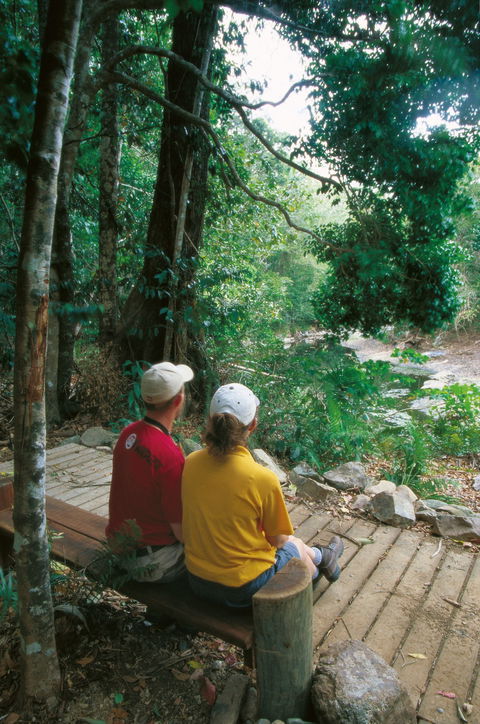 Airlie Beach To Cedar Creek Falls - Accommodation Port Hedland 2