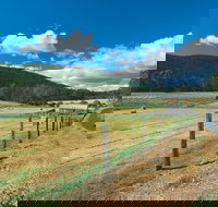 Blackwood River Tourist Drive - Accommodation Port Hedland