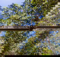 Bribie Island Bicentennial Trails - Accommodation Port Hedland