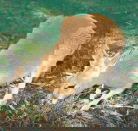 Caversham - Accommodation Port Hedland