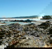 Coastal Walks - Bermagui - Accommodation Port Hedland