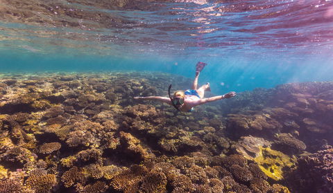 Complete Ningaloo Reef Experience - Accommodation Port Hedland 1