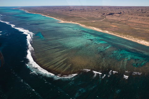 Complete Ningaloo Reef Experience - Accommodation Port Hedland 2