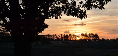Dangar's Lagoon And Racecourse Lagoon - Accommodation Port Hedland 0