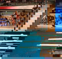 Dive Into History at Sydney Olympic Park Aquatic Centre - Accommodation Port Hedland
