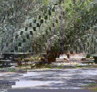 Goonoowigall State Conservation Area - Accommodation Port Hedland