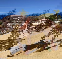 Gundersen Reserve - Accommodation Port Hedland