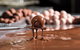 Haigh's Chocolates Visitor Centre - thumb 0