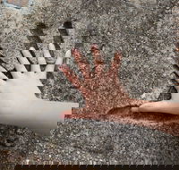 Hands of Fame Park - Accommodation Port Hedland