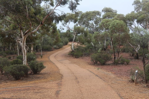 Karlkurla Bushland Park - Accommodation Port Hedland 0