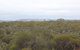 Karlkurla Bushland Park - thumb 1