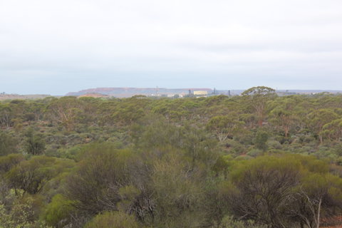Karlkurla Bushland Park - Accommodation Port Hedland 1