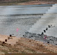 Lake Wyangala - Accommodation Port Hedland