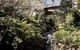 Leura Cascades Picnic Area - thumb 1